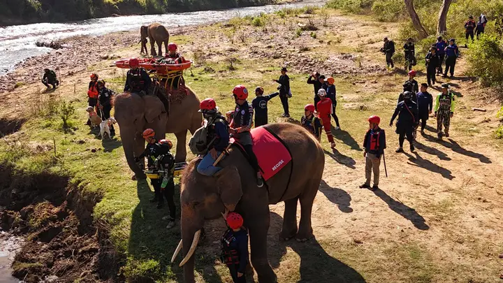 ครั้งแรกในโลก! ช้าง-สุนัข K9 ร่วมฝึกซ้อมกู้ภัย เพิ่มขีดความสามารถในการตอบโต้ภัยพิบัติ
